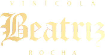 Logo da Vinícola Beatriz Rocha e Ilustração com Castelo e Campos com Corredores de Parreiras de Uva em um vale com monhas ao horizonte
